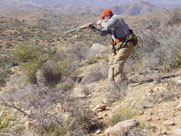 Todd firing on a Gambel's quail pointed by Puddin.  Todd cracked the bird and Puddin retrieved.